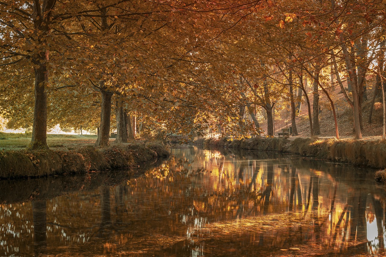 De Wammus Spellenwinkel De Wammus Spellenwinkel