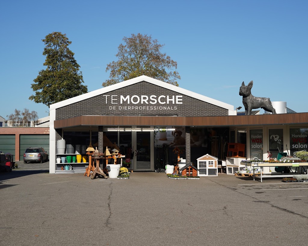Dierenspeciaalzaak Te Morsche Wierden Dierenspeciaalzaak Te Morsche Wierden