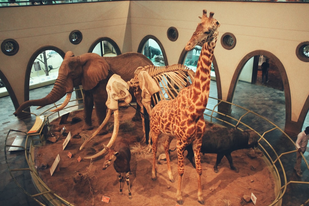 Dierenwereld XL - Grote dierenwinkel Dierenwereld XL - Grote dierenwinkel