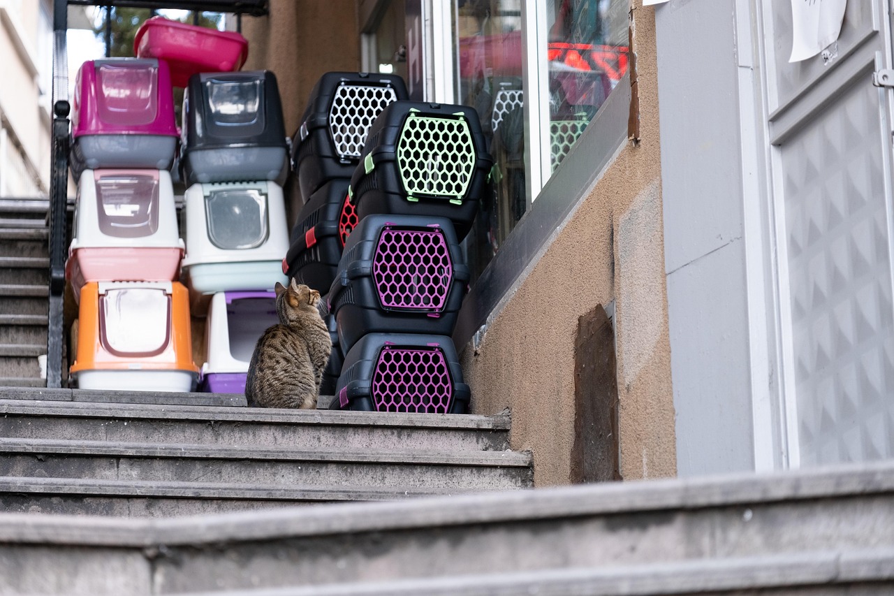Dierspecialist Corry's Dierenwinkel Dierspecialist Corry's Dierenwinkel