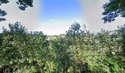 Lensink Aardappelen Aalten Lensink Aardappelen Aalten