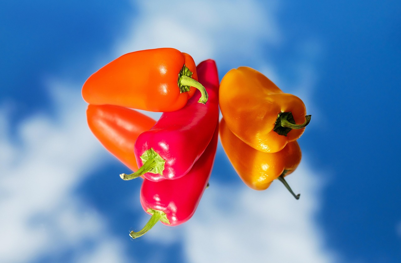 Meneer Paprika Meneer Paprika