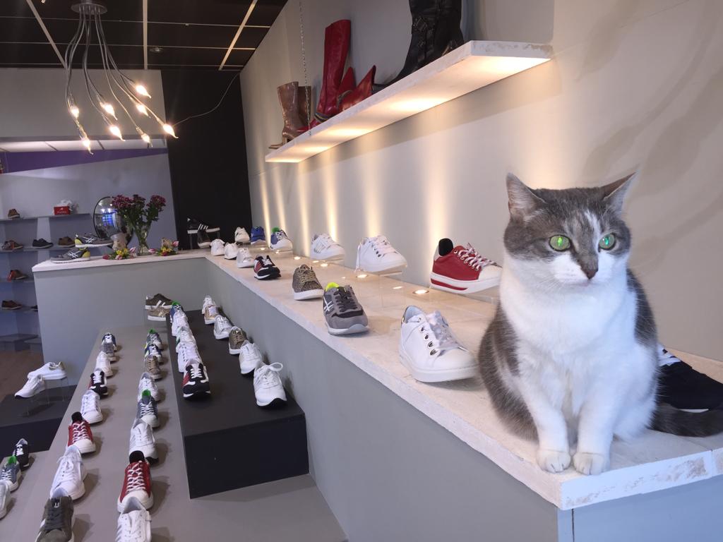 Peijnenburg Schoenmode Peijnenburg Schoenmode