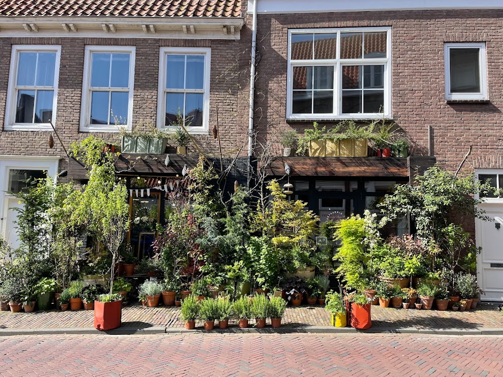 Plantaardig - 'N Stadstuinwinkel sinds 2014
