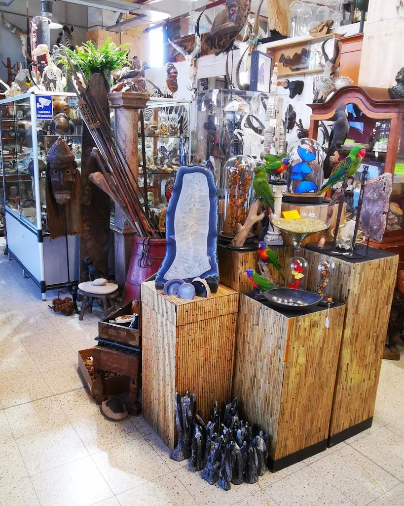 Preparatenshop Preparatenshop