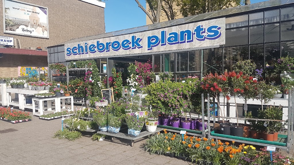 Tuincentrum Schiebroek/ Schiebroek Plants Tuincentrum Schiebroek/ Schiebroek Plants