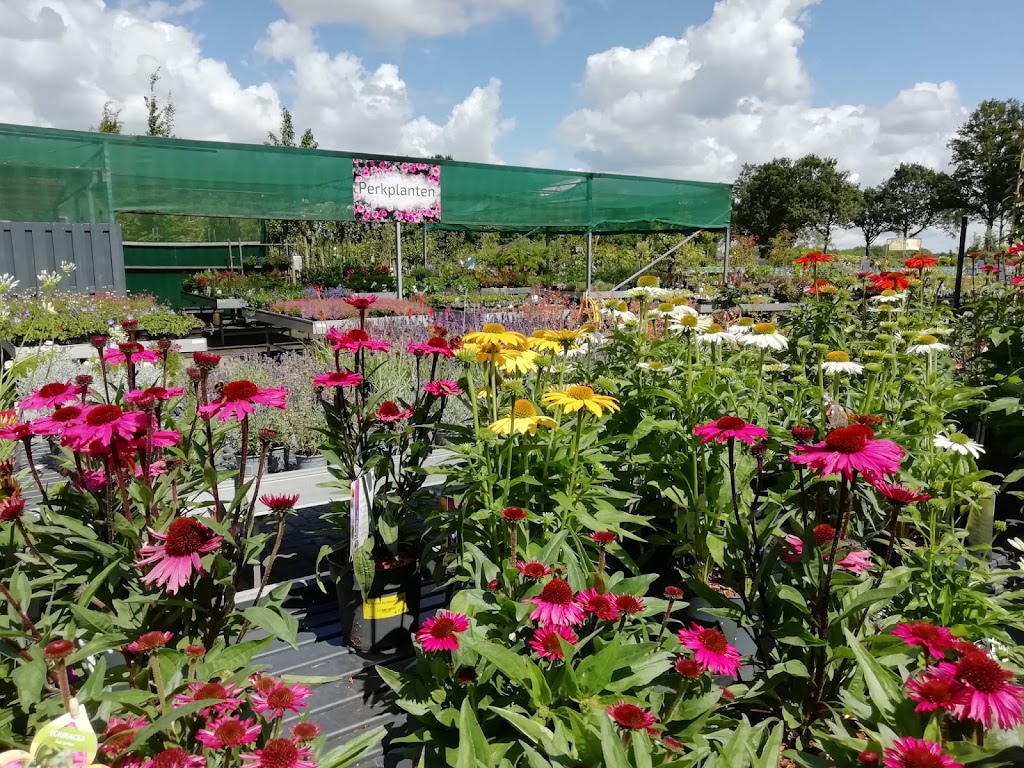 Tuinplantwinkel Nunspeet Tuinplantwinkel Nunspeet