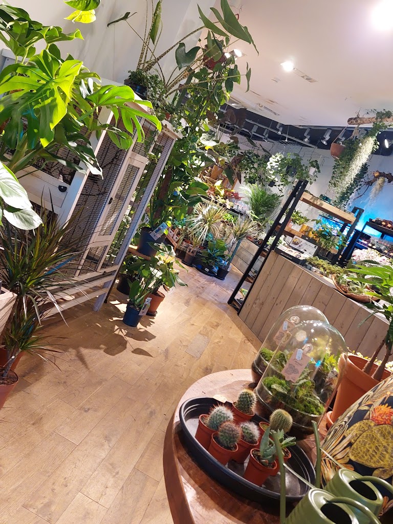 Urban Roots Plantshop Urban Roots Plantshop