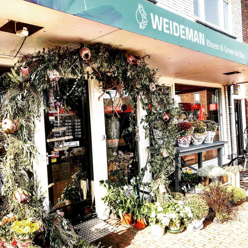 Weideman Bloem & Groen bij Bas Wierden Weideman Bloem & Groen bij Bas Wierden