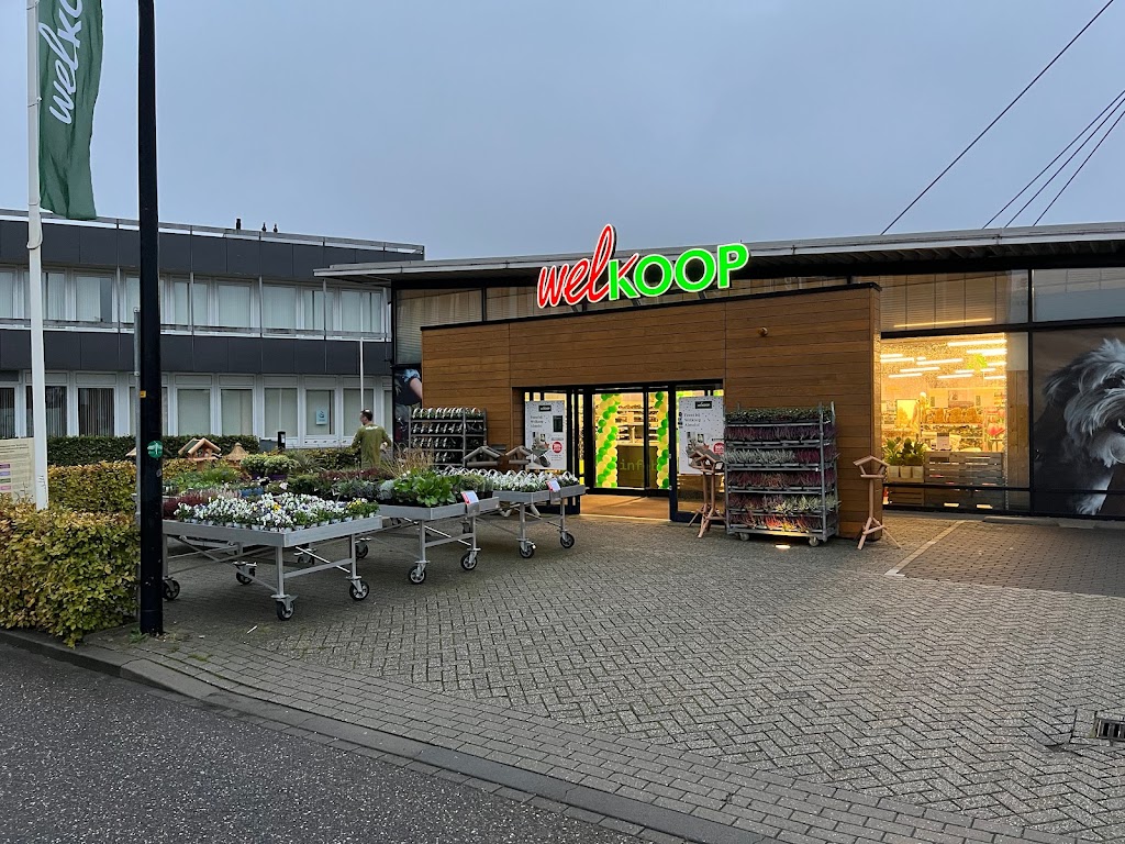 Welkoop Almelo Welkoop Almelo