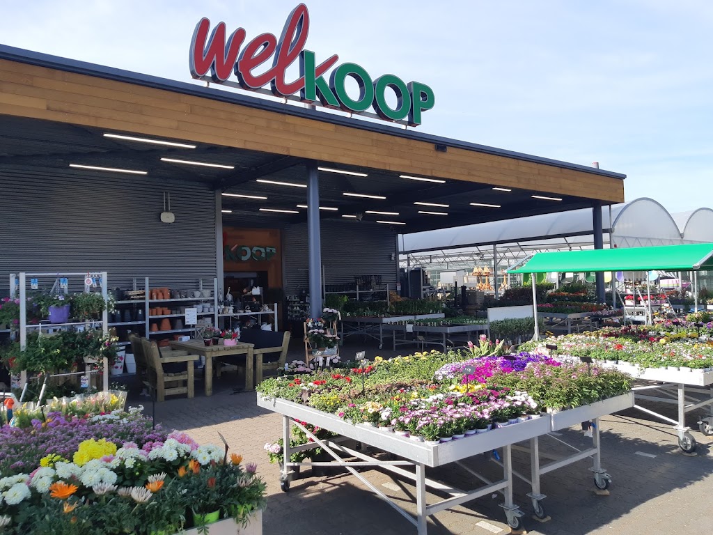 Welkoop Zaltbommel Welkoop Zaltbommel