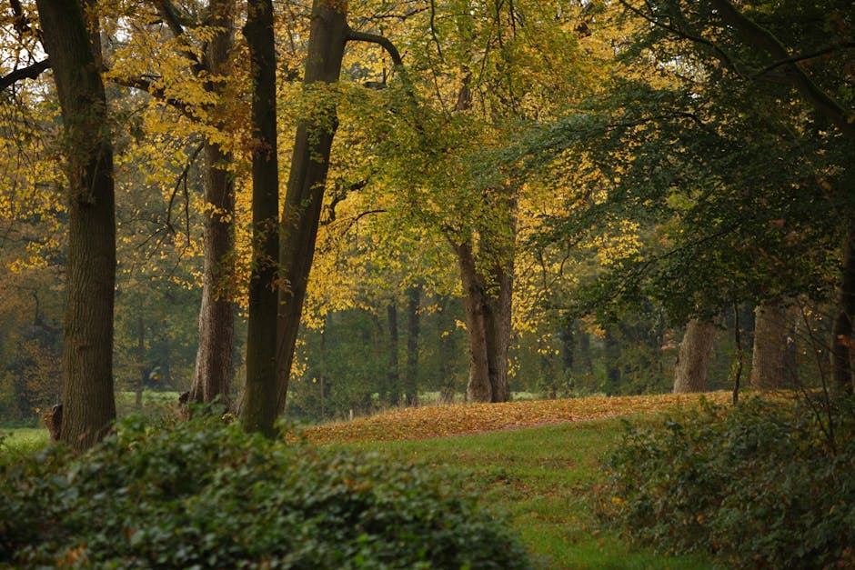 Wijnwinkel Barneveld Wijnwinkel Barneveld