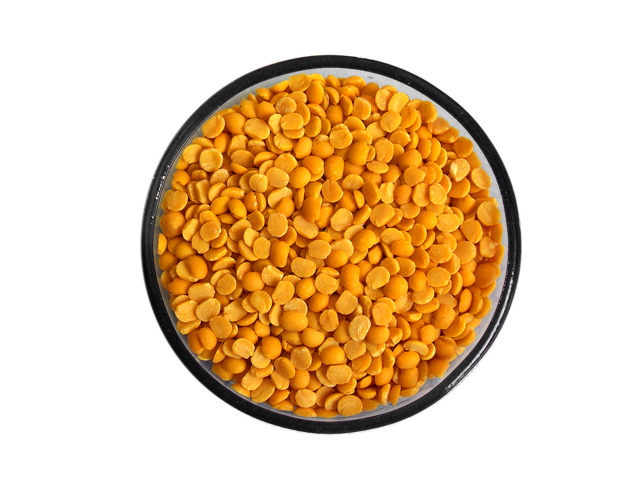 4 Leoni dal 1955