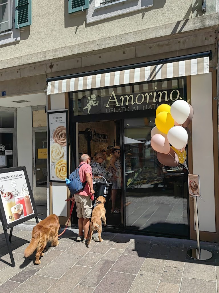 Amorino Nyon Amorino Nyon