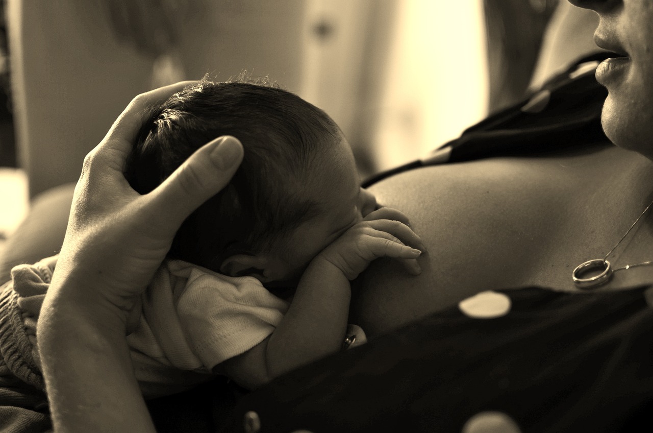 Axels Pizza and Breastfeeding Palace Axels Pizza and Breastfeeding Palace