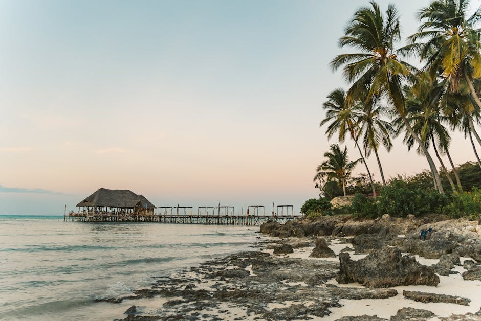 Bar-Ristorante Zanzibar