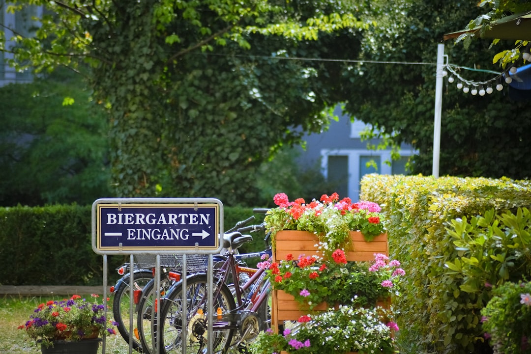 Biergarten Baden Biergarten Baden
