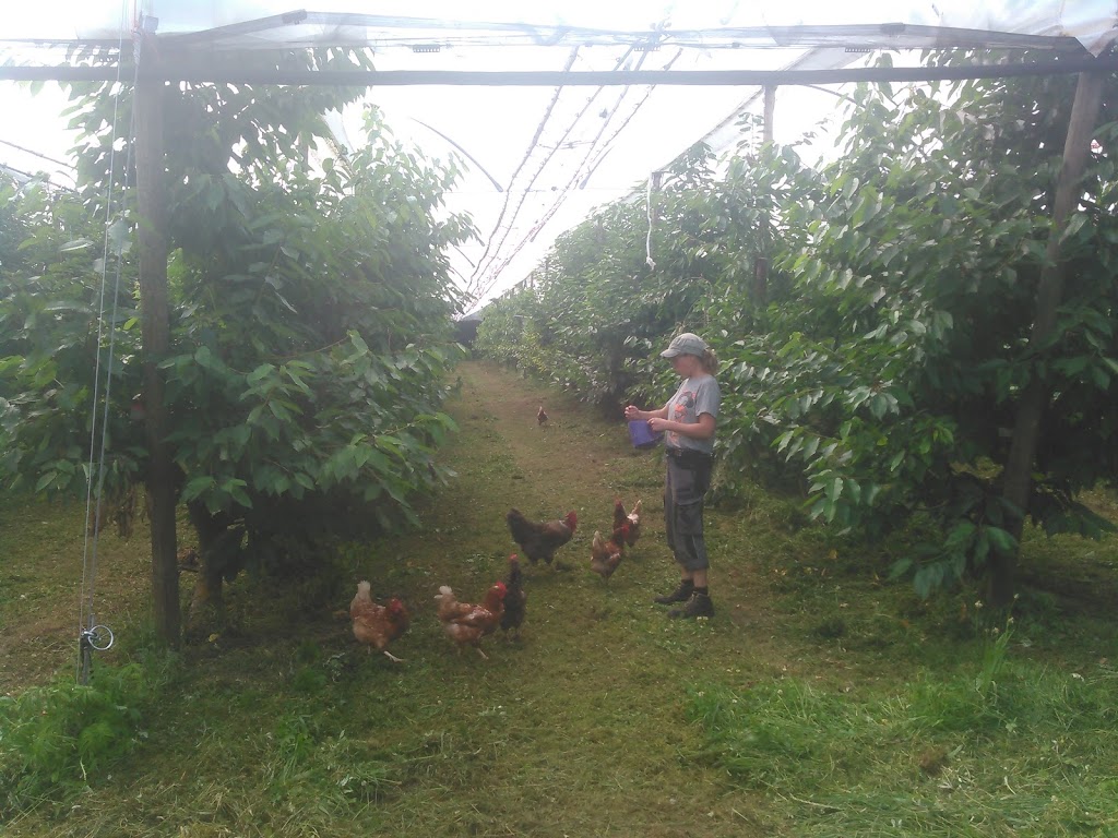 Biohof Fondli