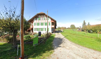 BUCHHOLZ HOF