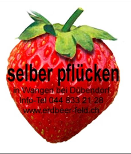 Erdbeerfeld Wangen bei Dübendorf