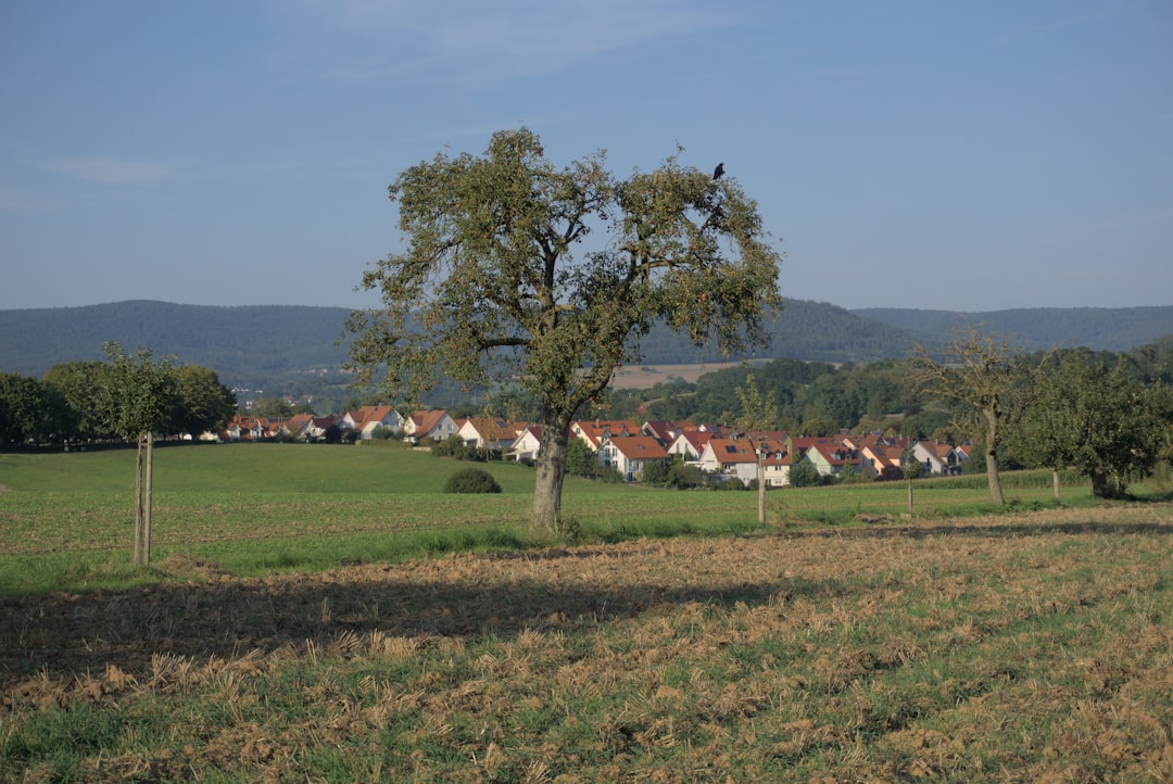 EyHof Burgdorf