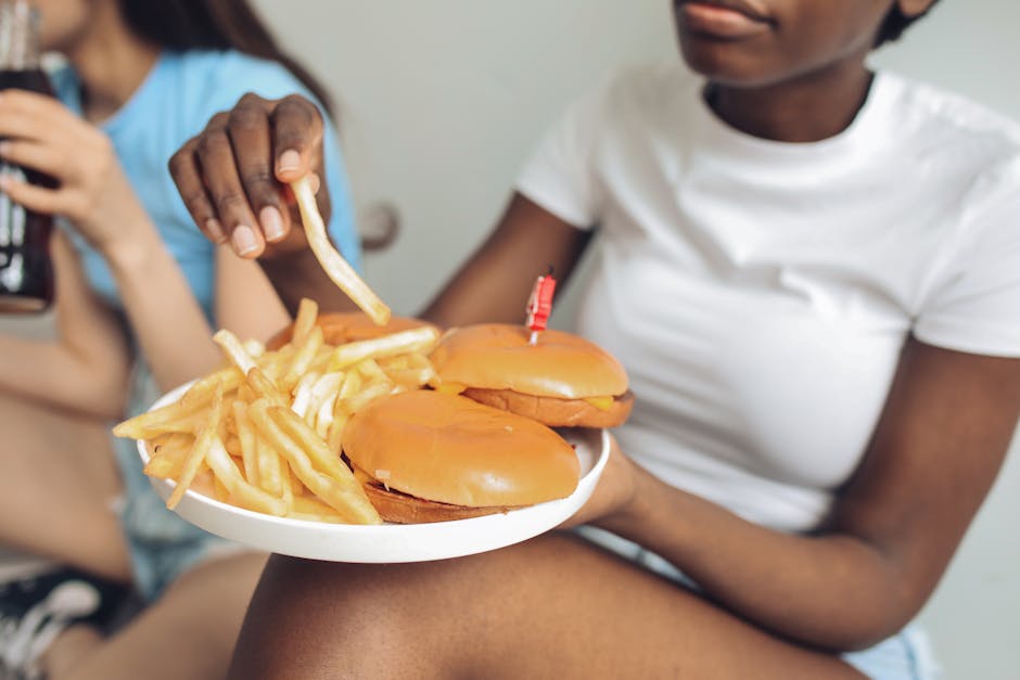 FULLY Burgers And Fries FULLY Burgers And Fries