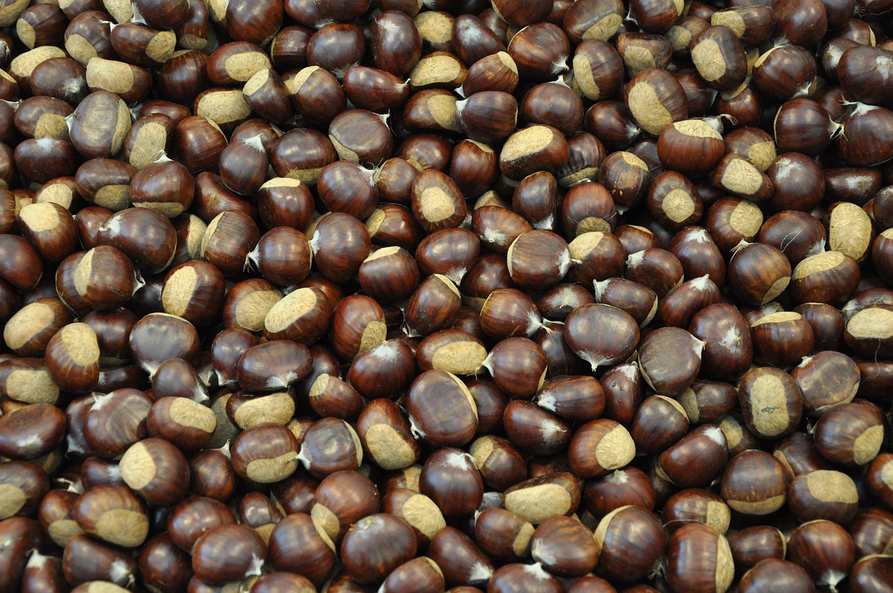 Heissi marroni