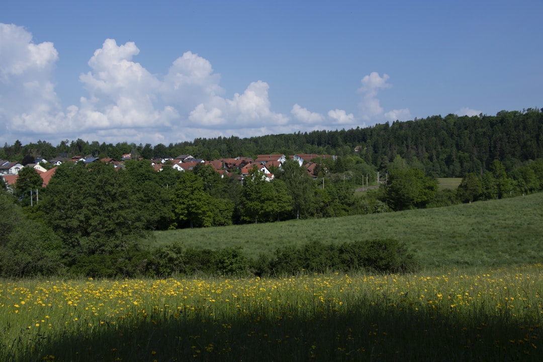 Hirschli