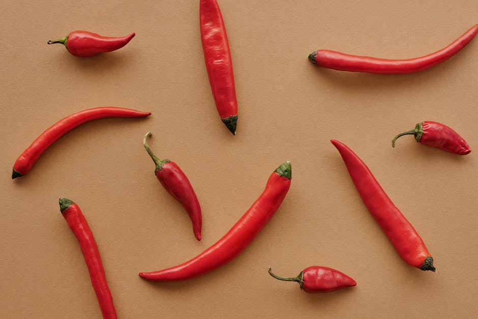 Hot Chilli Pepper Hot Chilli Pepper