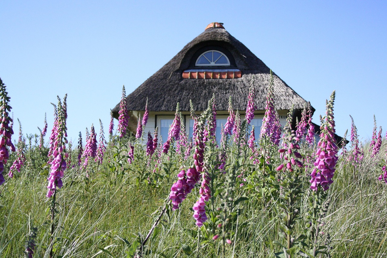 Landgasthof Sommerhaus Landgasthof Sommerhaus