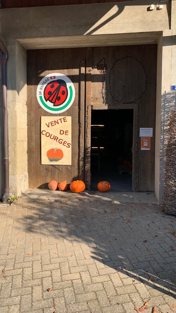 Le Bar à Courges - Vente directe