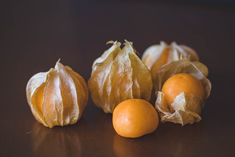 Le Physalis