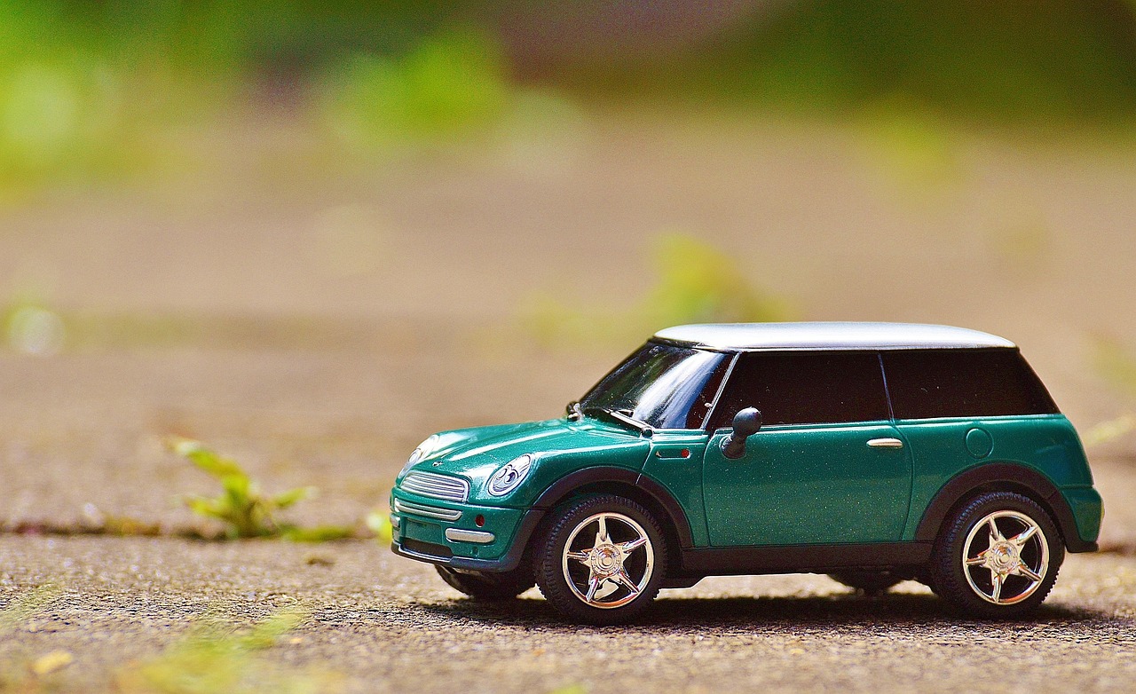 Mini Shopping