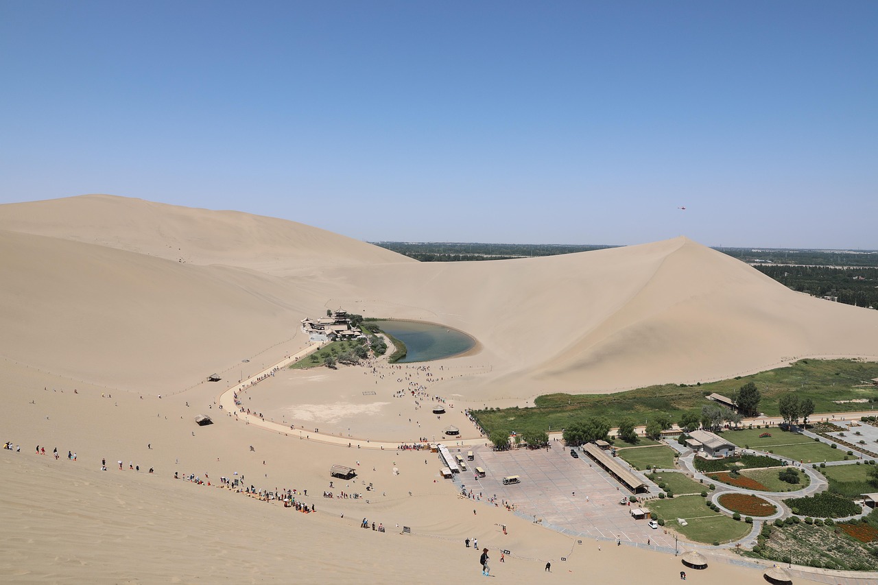 Oasis Thé