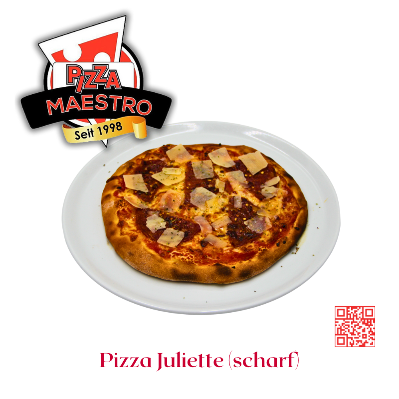 Pizzakurier Maestro Basel