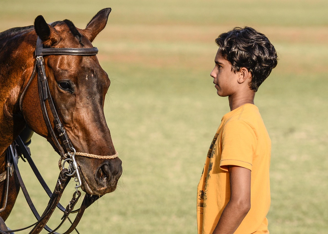 Polo Polo