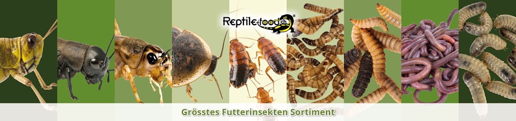 Reptile Food.ch Reptile Food.ch