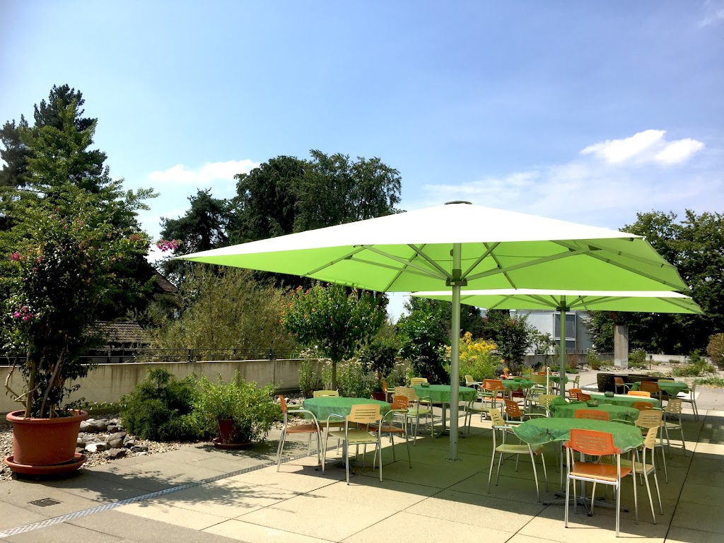 Restaurant Terrasse