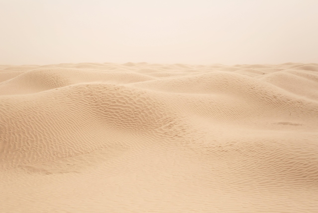 Sahara