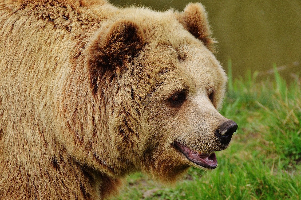 Selbstbedienung im Wildpark Roggenhausen Selbstbedienung im Wildpark Roggenhausen