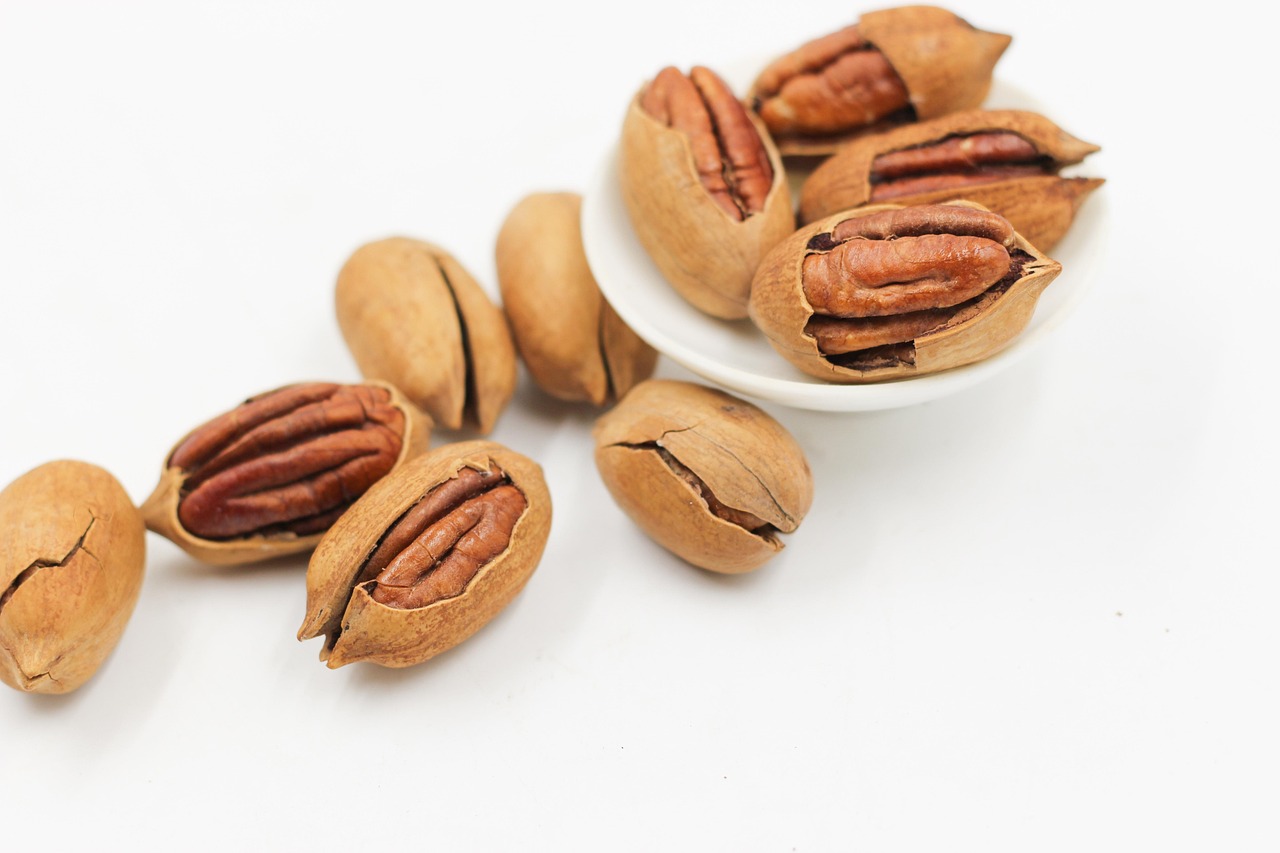 Snack L'olivier Snack L'olivier