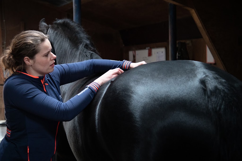 Dierenfysiotherapie Achterhoek