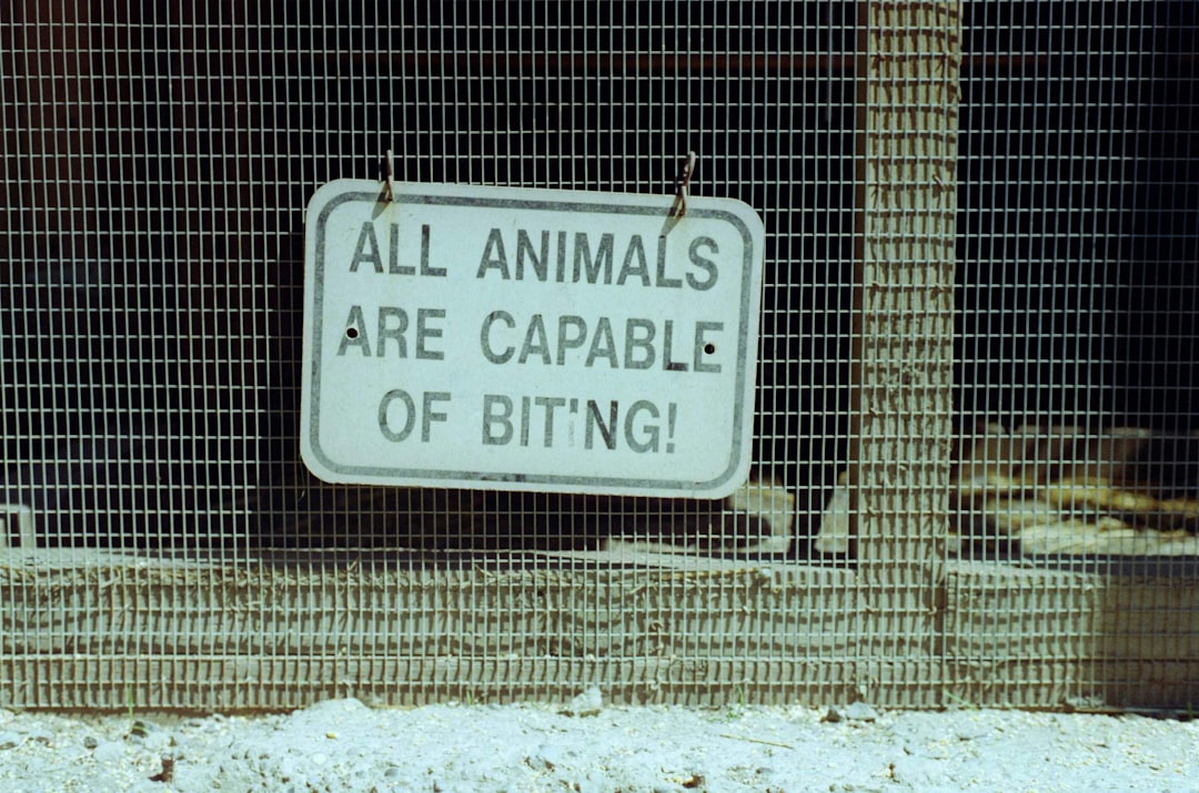 Dierenkliniek Rijen