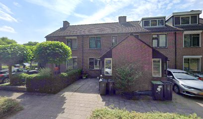 Inshine Familieopstellingen en Coaching, Therapeut Systemisch Werk
