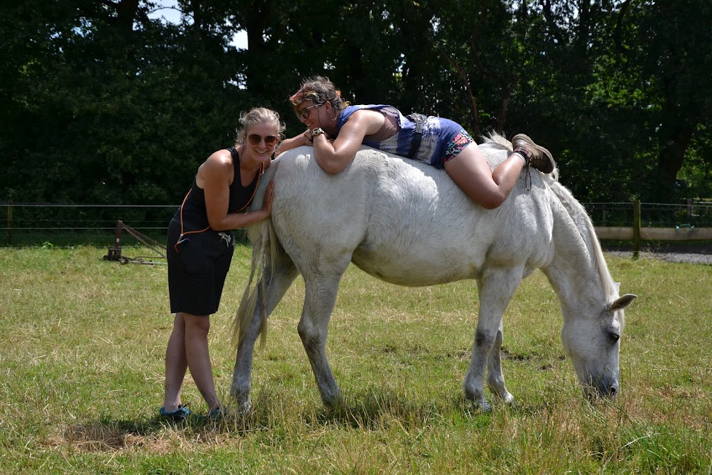 Paard en Zijn Paard en Zijn