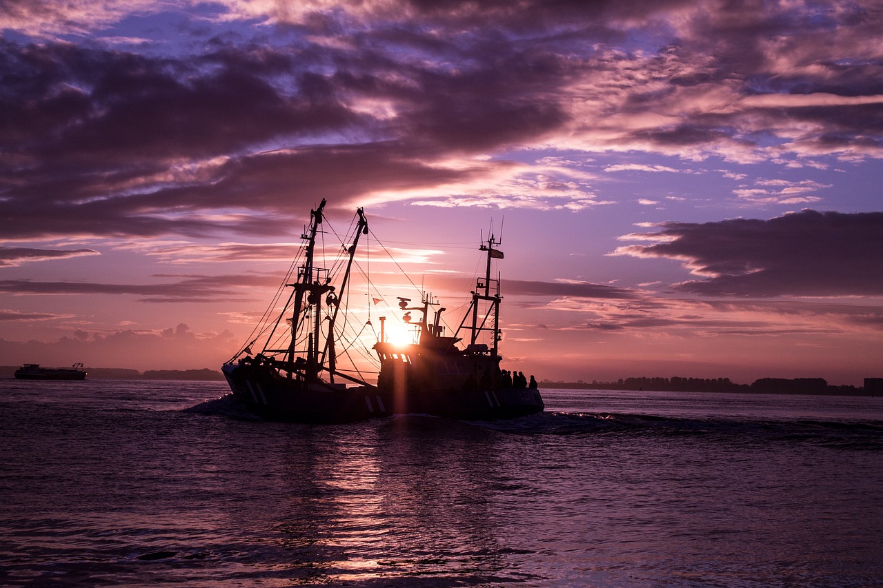 Terneuzen
