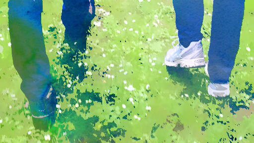 Wandelcoaching Schouwen-Duiveland