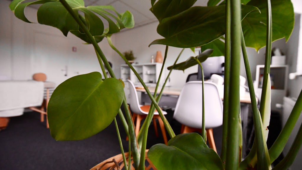 Work@YourHealth - Orthomoleculair therapeut Limburg - Gezondheidsbegeleiding & Kinderwens Work@YourHealth - Orthomoleculair therapeut Limburg - Gezondheidsbegeleiding & Kinderwens